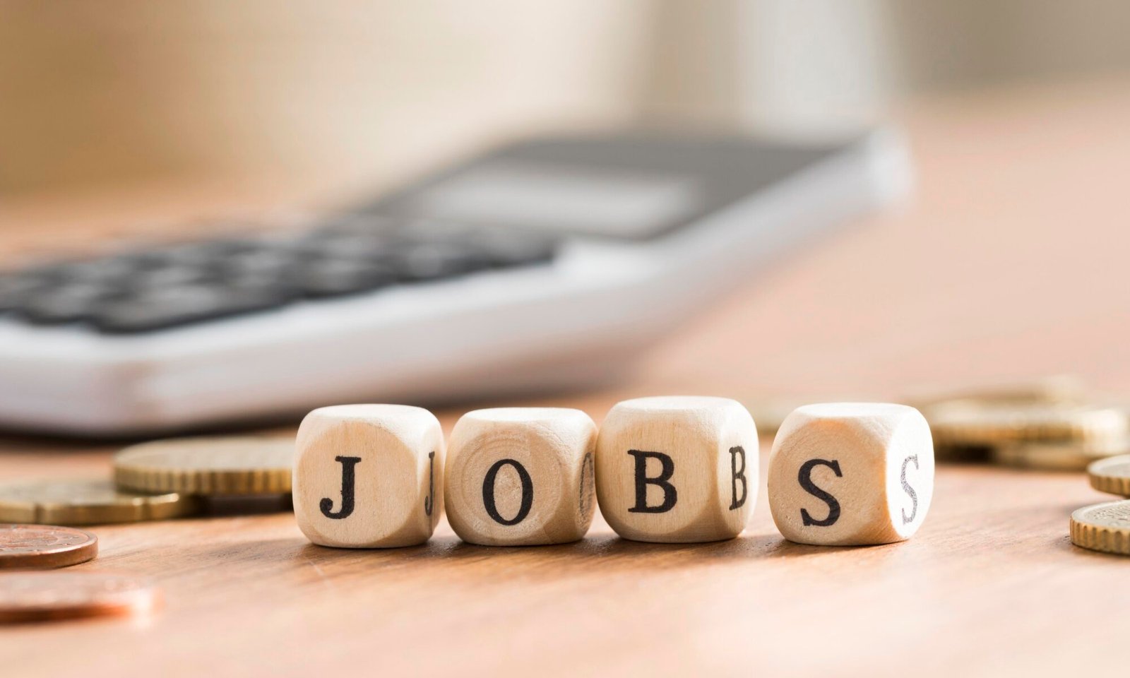apa-itu-person-job-fit